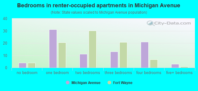 Bedrooms in renter-occupied apartments in Michigan Avenue