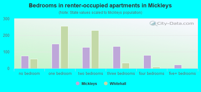 Bedrooms in renter-occupied apartments in Mickleys