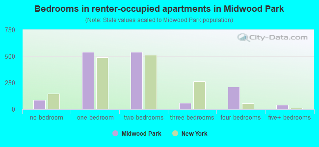 Bedrooms in renter-occupied apartments in Midwood Park