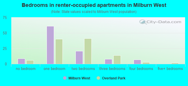 Bedrooms in renter-occupied apartments in Milburn West