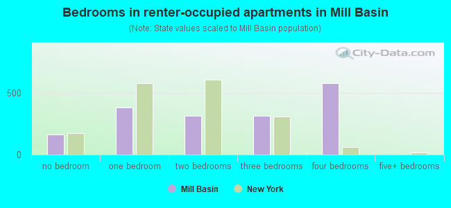 Bedrooms in renter-occupied apartments in Mill Basin