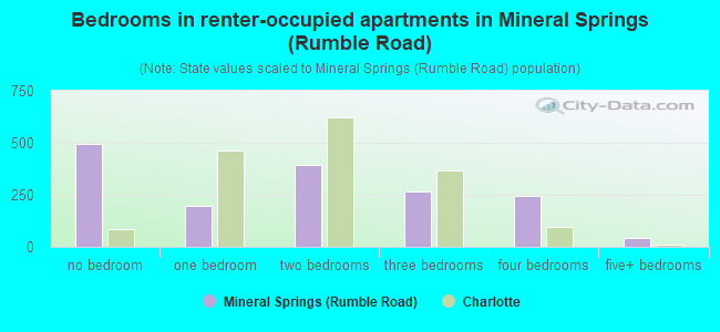 Bedrooms in renter-occupied apartments in Mineral Springs (Rumble Road)