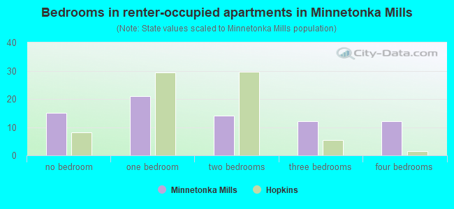 Bedrooms in renter-occupied apartments in Minnetonka Mills