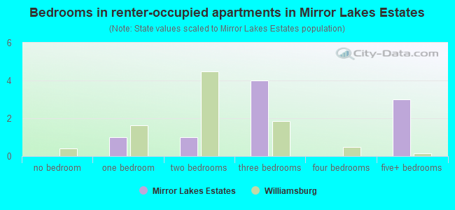 Bedrooms in renter-occupied apartments in Mirror Lakes Estates