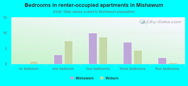 Bedrooms in renter-occupied apartments in Mishawum