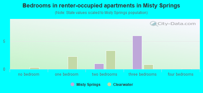 Bedrooms in renter-occupied apartments in Misty Springs
