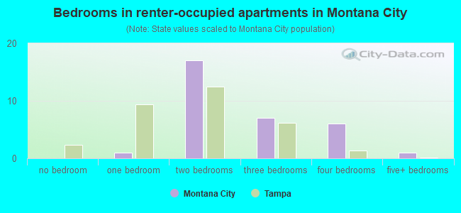 Bedrooms in renter-occupied apartments in Montana City