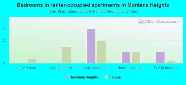 Bedrooms in renter-occupied apartments in Montana Heights