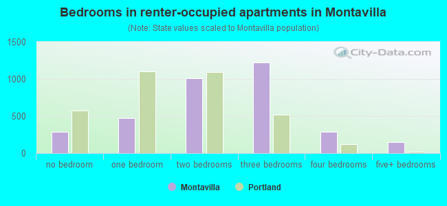 Bedrooms in renter-occupied apartments in Montavilla