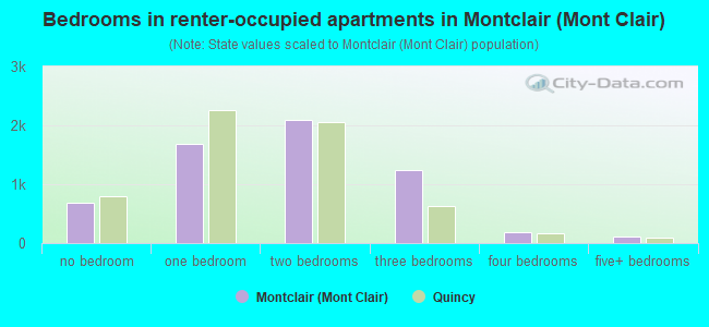 Bedrooms in renter-occupied apartments in Montclair (Mont Clair)