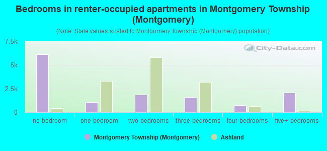Bedrooms in renter-occupied apartments in Montgomery Township (Montgomery)