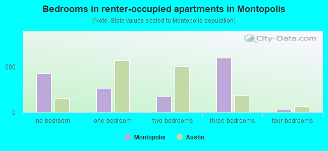 Bedrooms in renter-occupied apartments in Montopolis