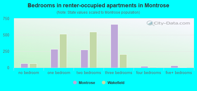Bedrooms in renter-occupied apartments in Montrose
