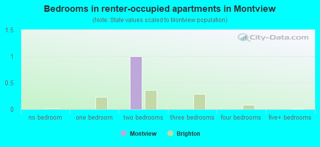 Bedrooms in renter-occupied apartments in Montview