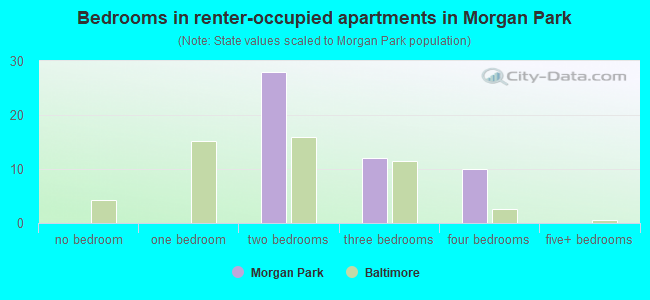 Bedrooms in renter-occupied apartments in Morgan Park