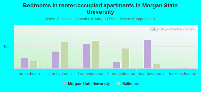 Bedrooms in renter-occupied apartments in Morgan State University
