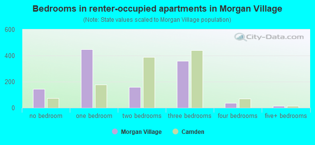 Bedrooms in renter-occupied apartments in Morgan Village
