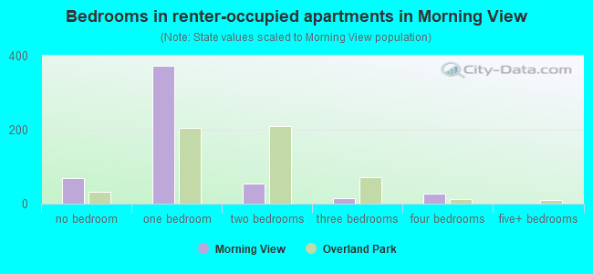 Bedrooms in renter-occupied apartments in Morning View