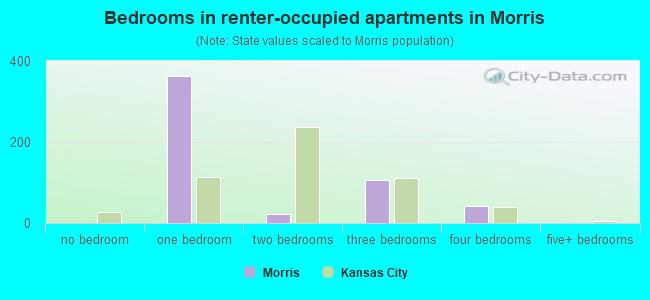 Bedrooms in renter-occupied apartments in Morris