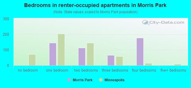 Bedrooms in renter-occupied apartments in Morris Park