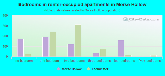 Bedrooms in renter-occupied apartments in Morse Hollow