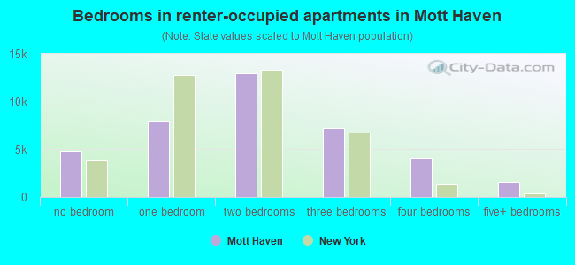 Bedrooms in renter-occupied apartments in Mott Haven