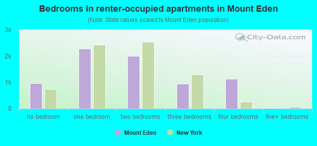 Bedrooms in renter-occupied apartments in Mount Eden