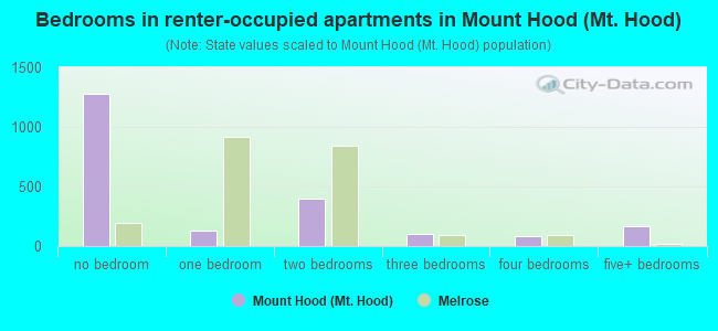 Bedrooms in renter-occupied apartments in Mount Hood (Mt. Hood)