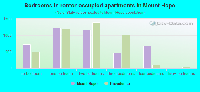 Bedrooms in renter-occupied apartments in Mount Hope