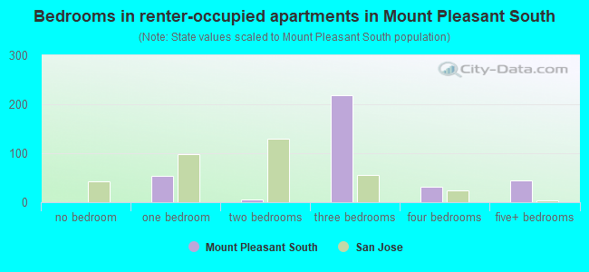 Bedrooms in renter-occupied apartments in Mount Pleasant South