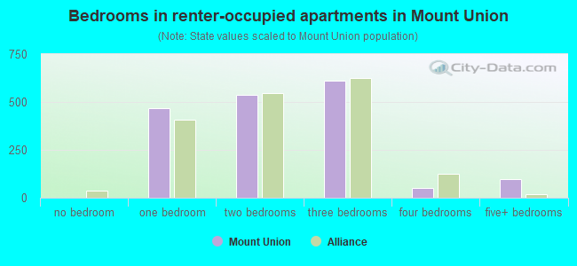 Bedrooms in renter-occupied apartments in Mount Union