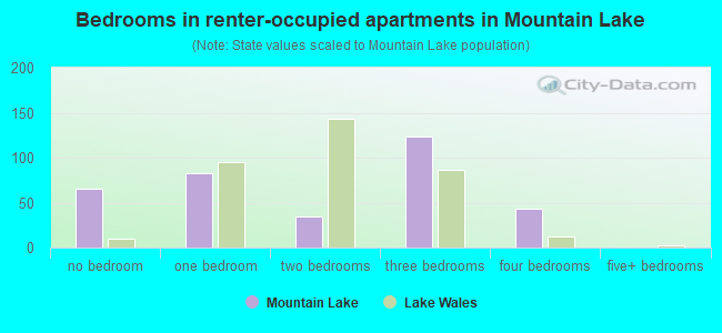 Bedrooms in renter-occupied apartments in Mountain Lake