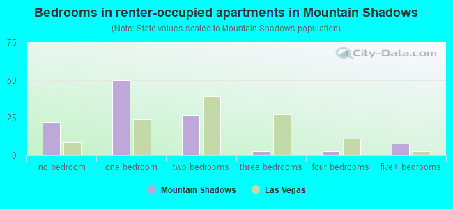 Bedrooms in renter-occupied apartments in Mountain Shadows