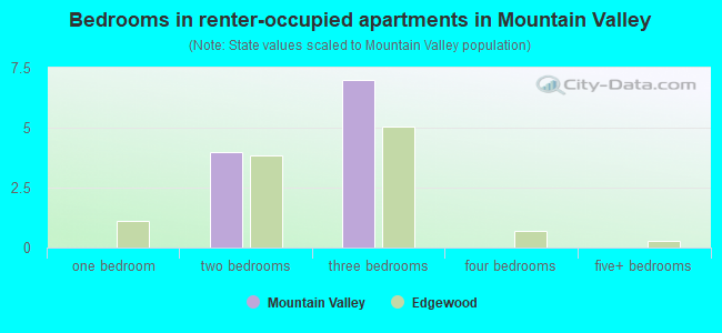 Bedrooms in renter-occupied apartments in Mountain Valley