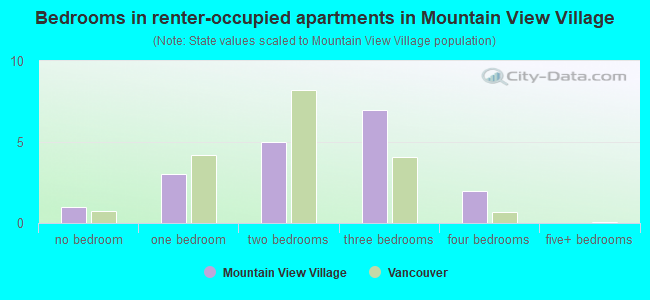 Bedrooms in renter-occupied apartments in Mountain View Village