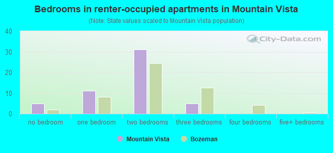 Bedrooms in renter-occupied apartments in Mountain Vista