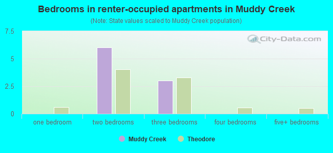 Bedrooms in renter-occupied apartments in Muddy Creek