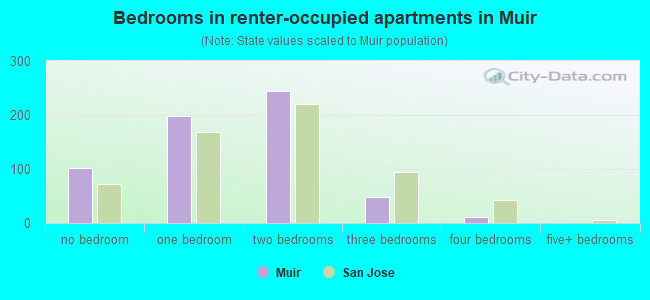 Bedrooms in renter-occupied apartments in Muir