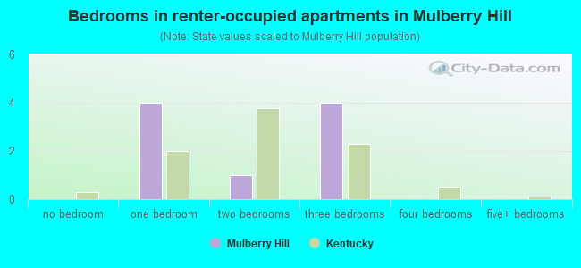 Bedrooms in renter-occupied apartments in Mulberry Hill