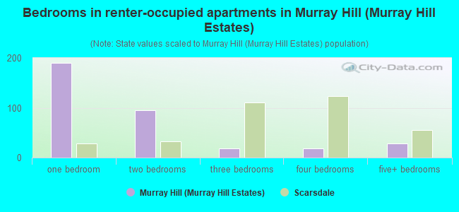 Bedrooms in renter-occupied apartments in Murray Hill (Murray Hill Estates)