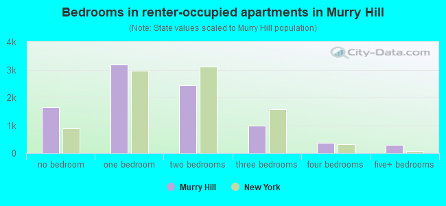 Bedrooms in renter-occupied apartments in Murry Hill