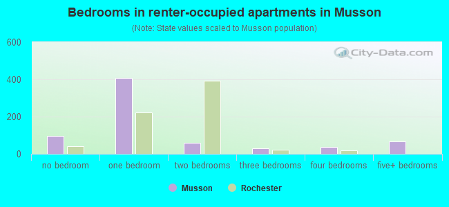 Bedrooms in renter-occupied apartments in Musson
