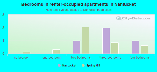 Bedrooms in renter-occupied apartments in Nantucket