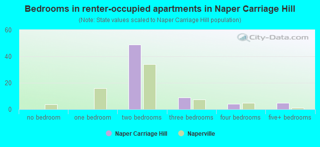 Bedrooms in renter-occupied apartments in Naper Carriage Hill