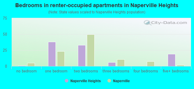 Bedrooms in renter-occupied apartments in Naperville Heights