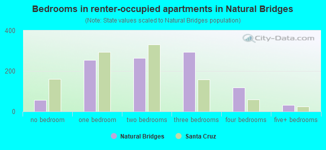 Bedrooms in renter-occupied apartments in Natural Bridges