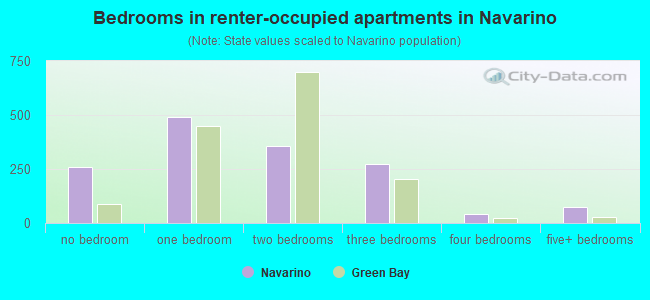 Bedrooms in renter-occupied apartments in Navarino
