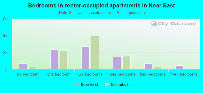 Bedrooms in renter-occupied apartments in Near East