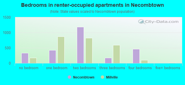 Bedrooms in renter-occupied apartments in Necombtown
