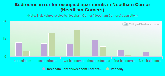 Bedrooms in renter-occupied apartments in Needham Corner (Needham Corners)